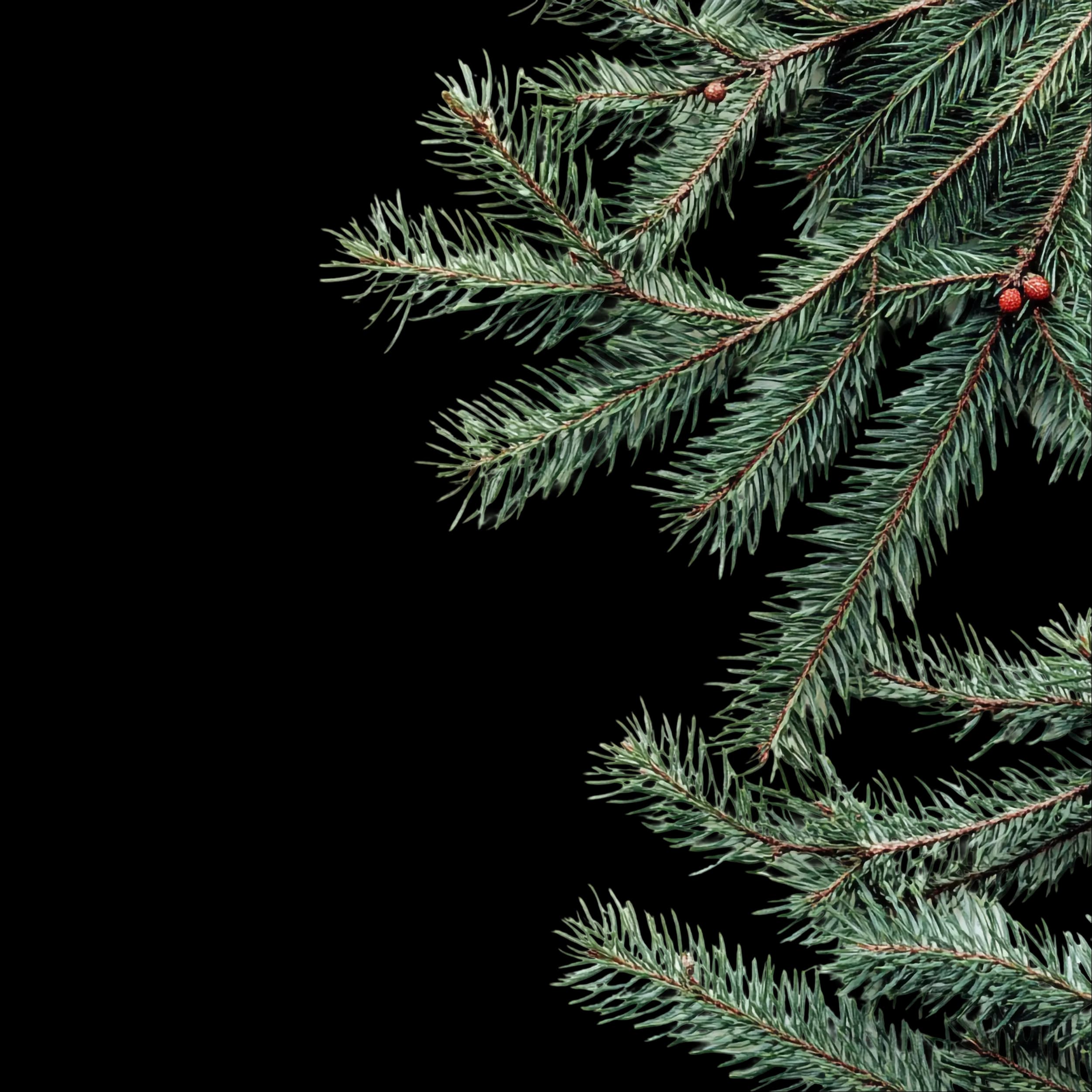 Christmas tree decoration