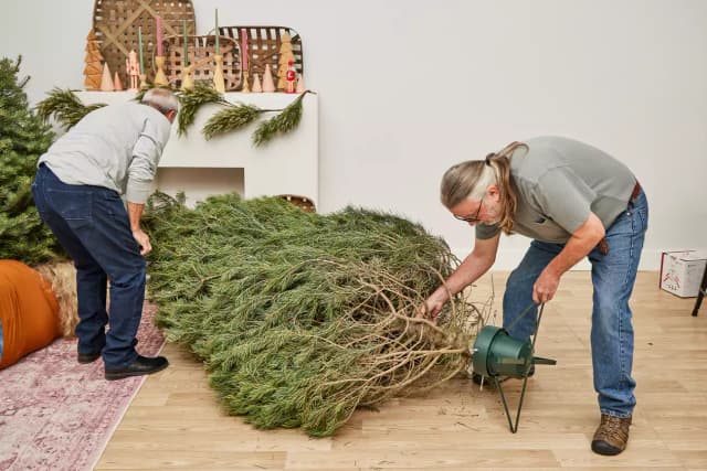 Tree setup
